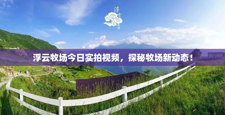 浮云牧場(chǎng)今日實(shí)拍視頻，探秘牧場(chǎng)新動(dòng)態(tài)！