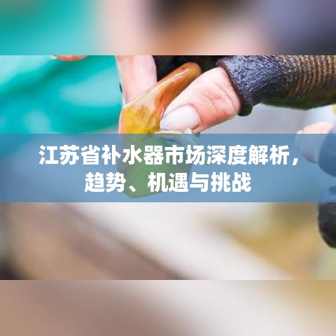 江蘇省補水器市場深度解析，趨勢、機遇與挑戰(zhàn)