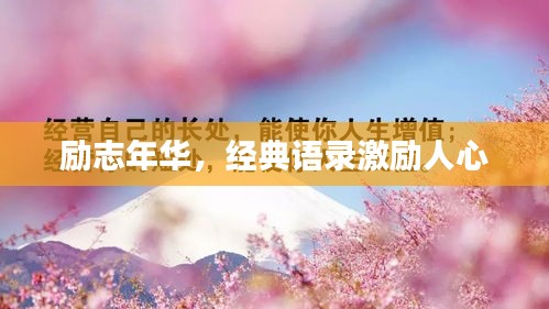 勵志年華，經(jīng)典語錄激勵人心