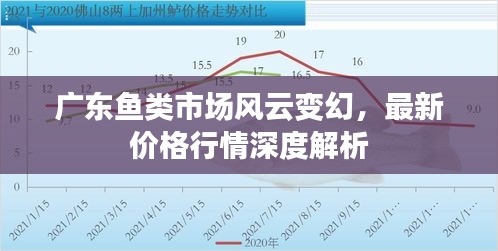 廣東魚類市場風云變幻，最新價格行情深度解析