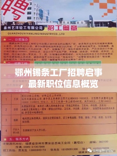 鄂州錫條工廠招聘啟事，最新職位信息概覽