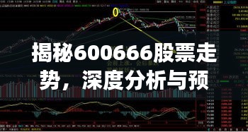 揭秘600666股票走勢，深度分析與預(yù)測