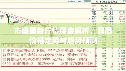 市場最新行情深度解析，洞悉價格走勢與趨勢預(yù)測