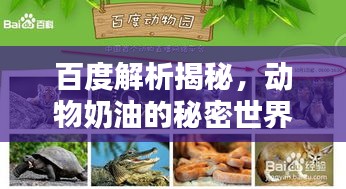 百度解析揭秘，動物奶油的秘密世界！