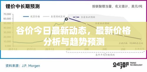 谷價今日最新動態(tài)，最新價格分析與趨勢預測