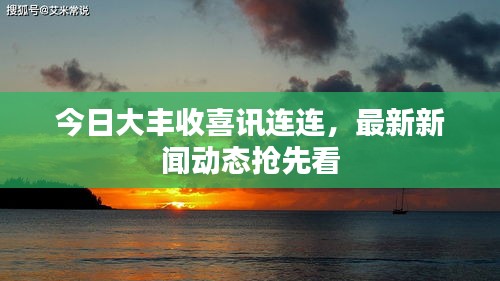 今日大豐收喜訊連連，最新新聞動態(tài)搶先看