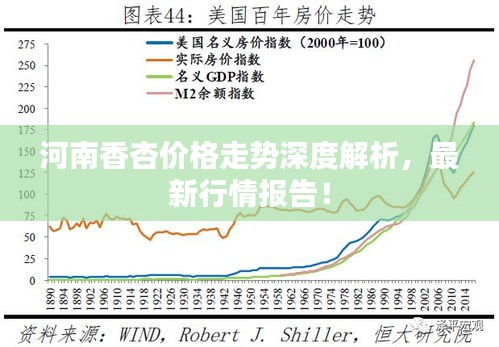 河南香杏價格走勢深度解析，最新行情報告！