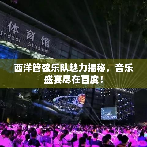 西洋管弦樂隊(duì)魅力揭秘，音樂盛宴盡在百度！