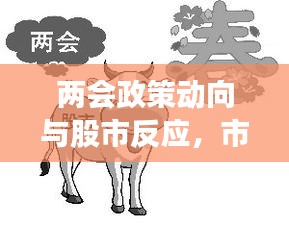 兩會(huì)政策動(dòng)向與股市反應(yīng)，市場(chǎng)走勢(shì)揭秘，投資機(jī)會(huì)前瞻