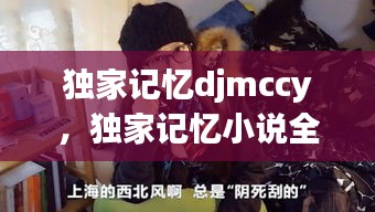 獨(dú)家記憶djmccy，獨(dú)家記憶小說全文閱讀 