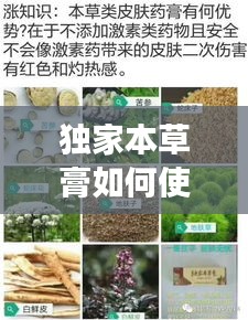 獨家本草膏如何使用，獨家本草膏有副作用嗎 