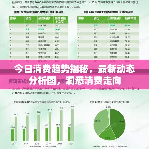 今日消費(fèi)趨勢揭秘，最新動態(tài)分析圖，洞悉消費(fèi)走向