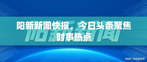 陽新新聞快報，今日頭條聚焦時事熱點