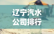 遼寧汽水公司排行榜揭曉，誰(shuí)領(lǐng)風(fēng)騷？