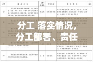 分工 落實情況，分工部署、責(zé)任落實 