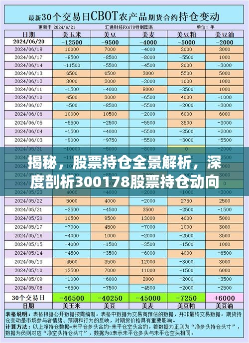 揭秘，股票持倉全景解析，深度剖析300178股票持倉動向